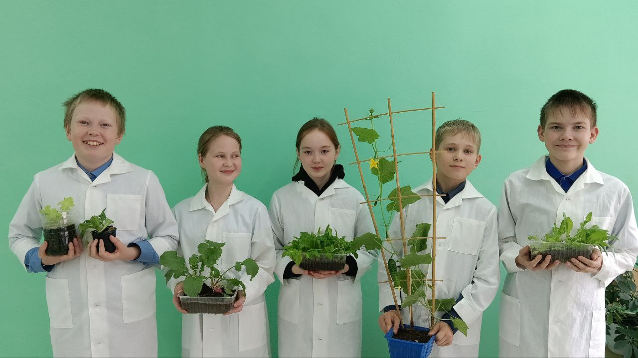 Занятие кружка &amp;quot;Почувствуй себя ученым&amp;quot;.